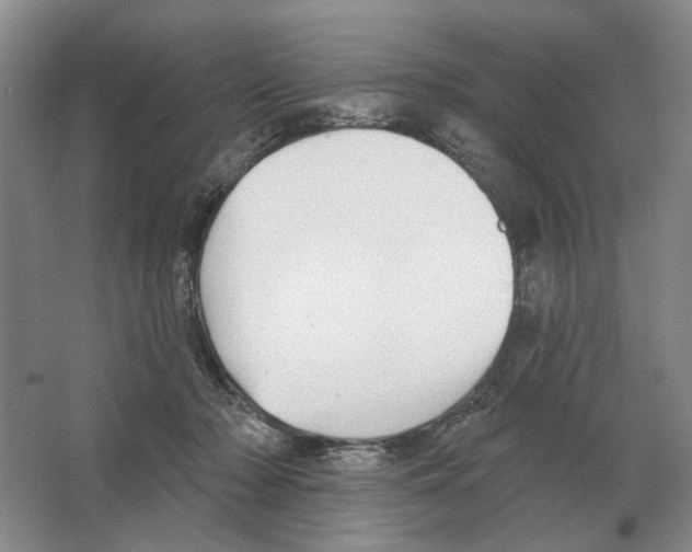 X0000063450318200602171905