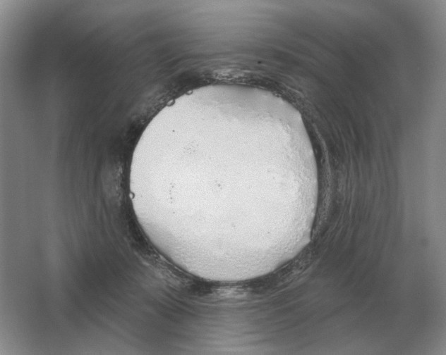 X0000063450319200602171905