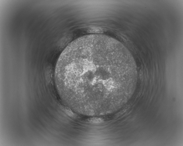 X0000063450322200602171905