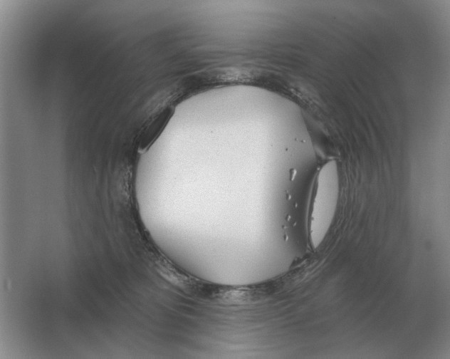 X0000063450325200602171905