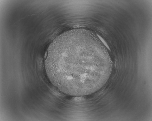 X0000063450327200602171905