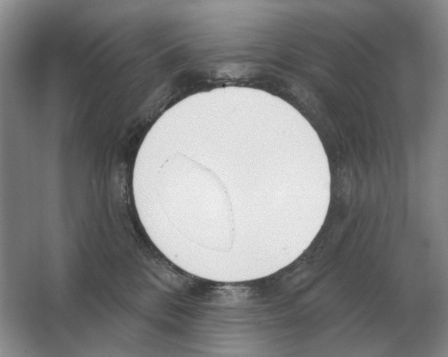 X0000063450328200602171905