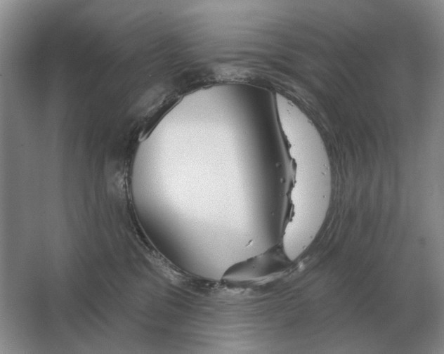 X0000063450329200602171905