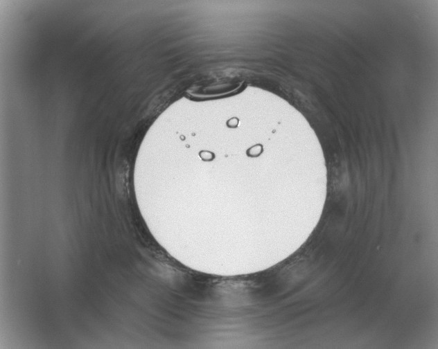 X0000063450332200602171905