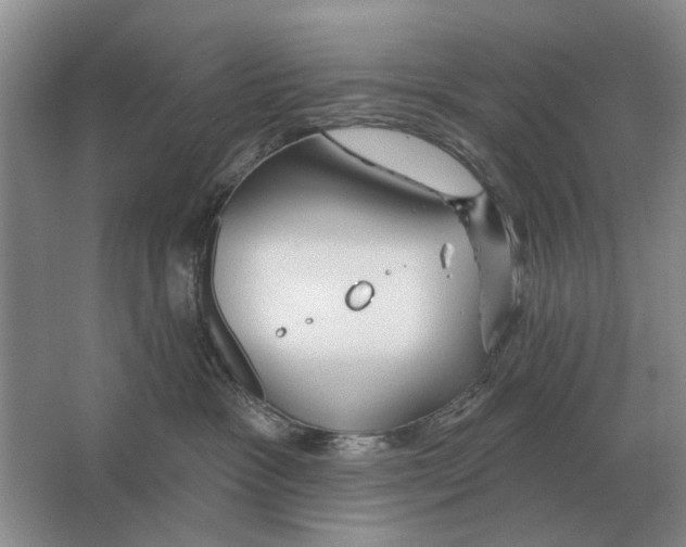 X0000063450333200602171905