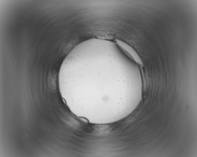 X0000063450334200602171905