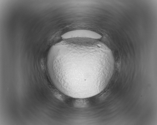 X0000063450335200602171905