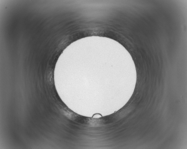 X0000063450336200602171905