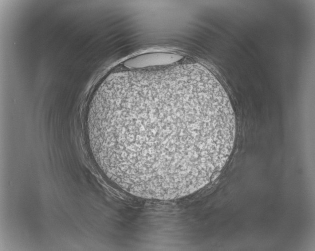 X0000063450337200602171904