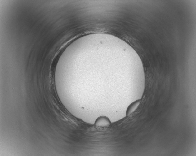 X0000063450338200602171904