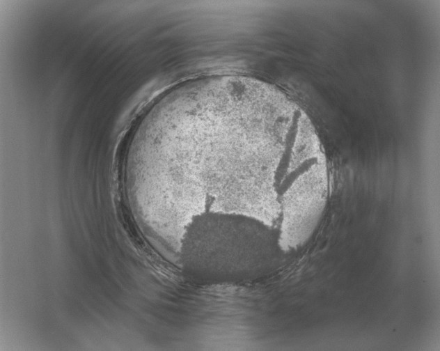 X0000063450339200602171904