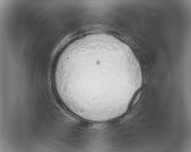 X0000063450341200602171904