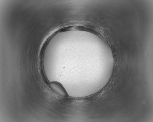 X0000063450342200602171904