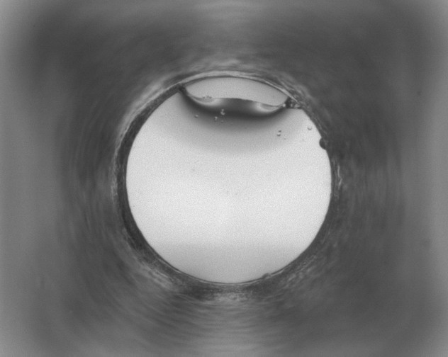 X0000063450344200602171904