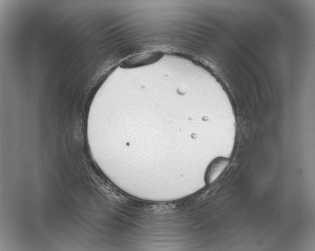 X0000063450345200602171904