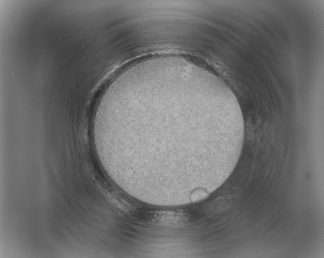 X0000063450347200602171904