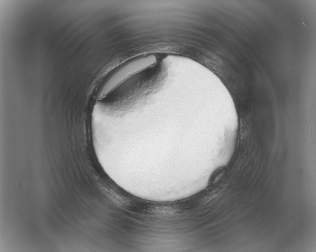 X0000063450349200602171904