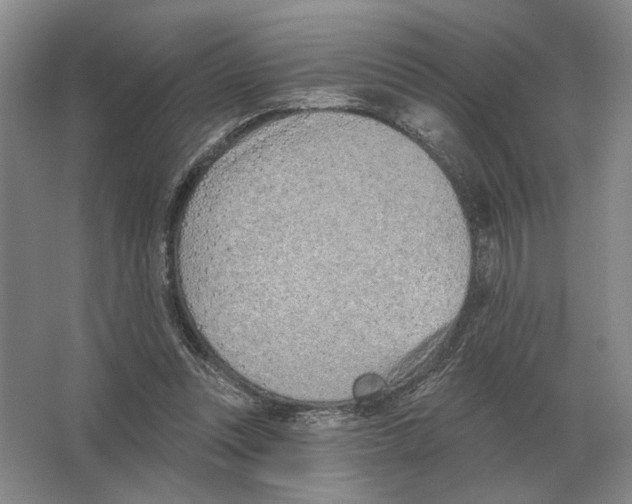 X0000063450351200602171904