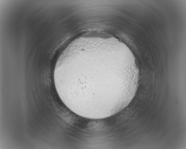 X0000063450354200602171904