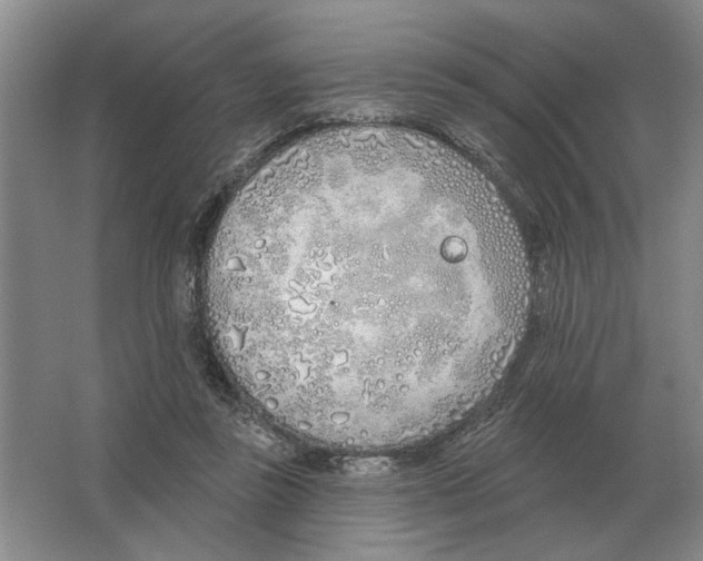 X0000063450355200602171904