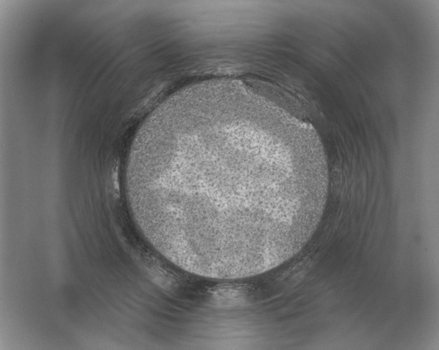 X0000063450358200602171904