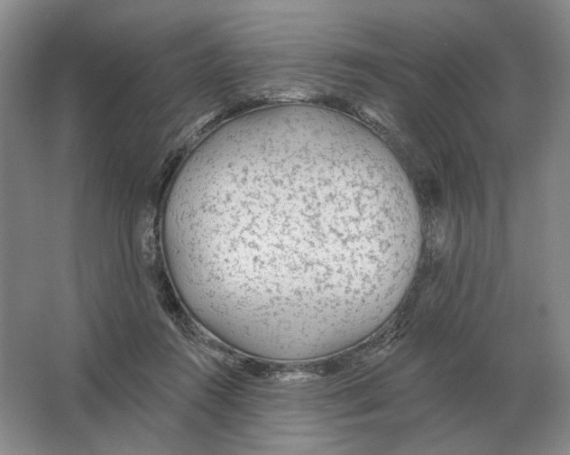 X0000063450360200602171904