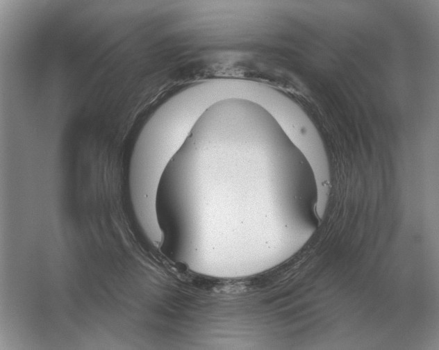 X0000063450362200602171904