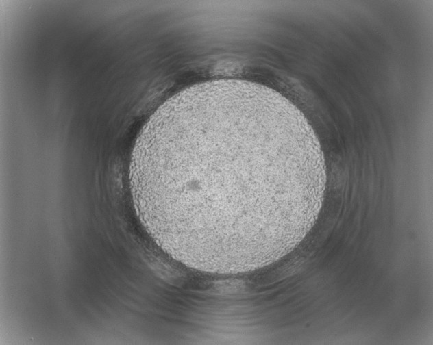 X0000063450363200602171904