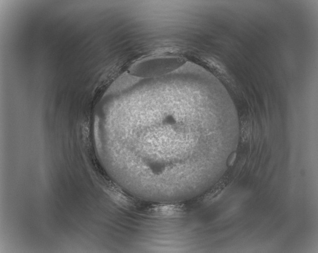 X0000063450365200602171904