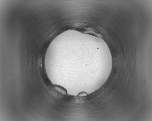 X0000063450368200602171904