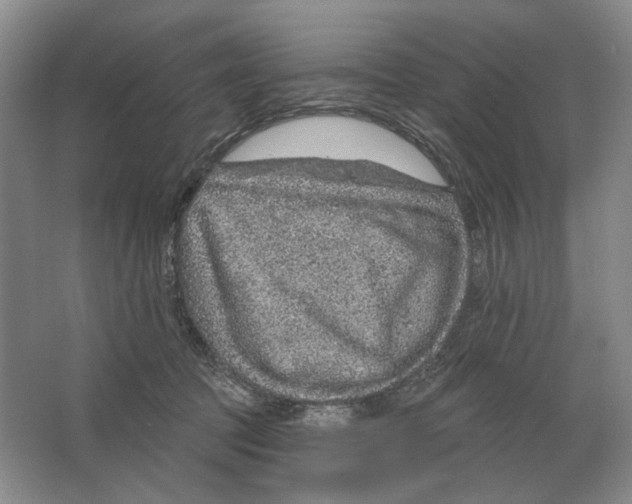 X0000063450369200602171904