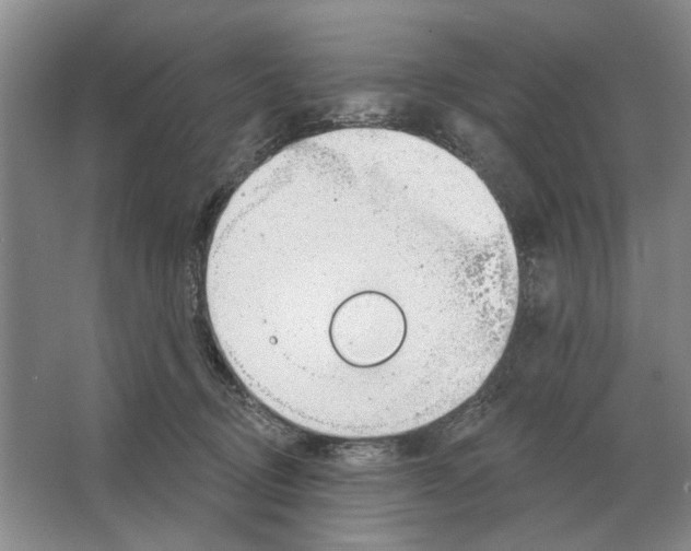 X0000063450370200602171905