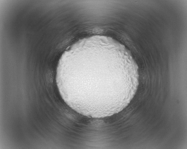 X0000063450374200602171905