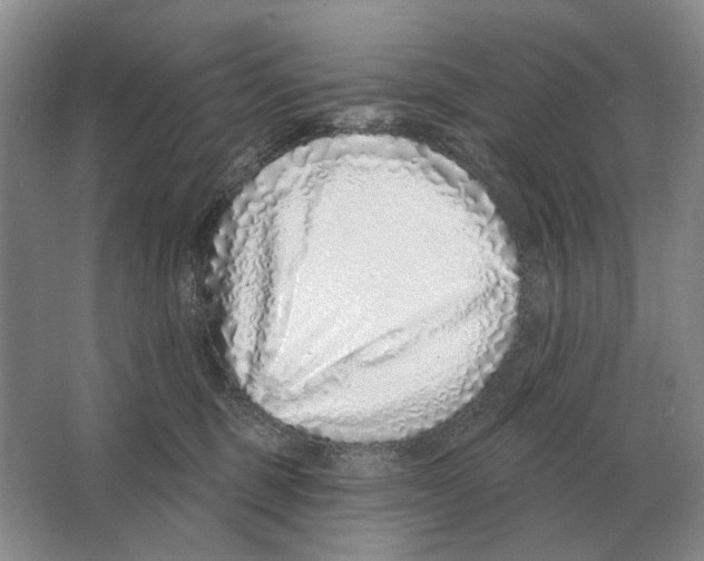 X0000063450375200602171905