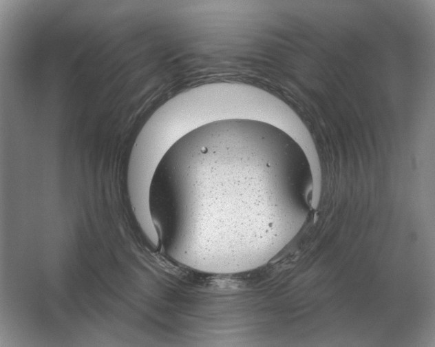 X0000063450376200602171905