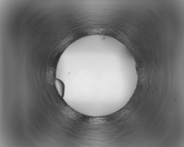 X0000063450378200602171905