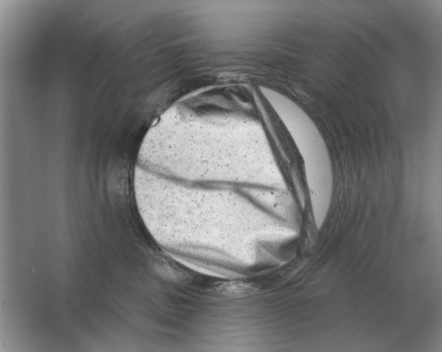 X0000063450379200602171905