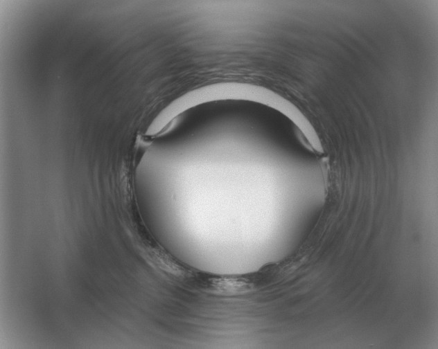 X0000063450380200602171905