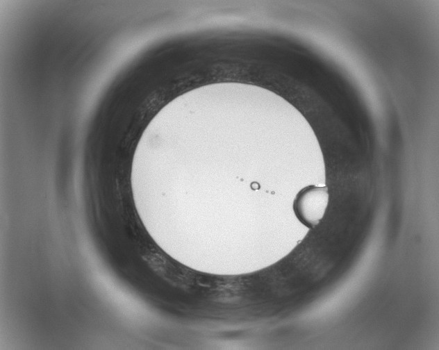 X0000063450382200602171905