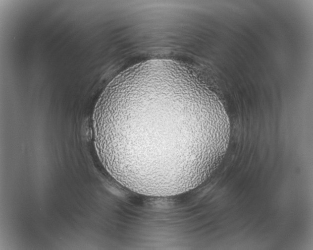 X0000063450383200602171905