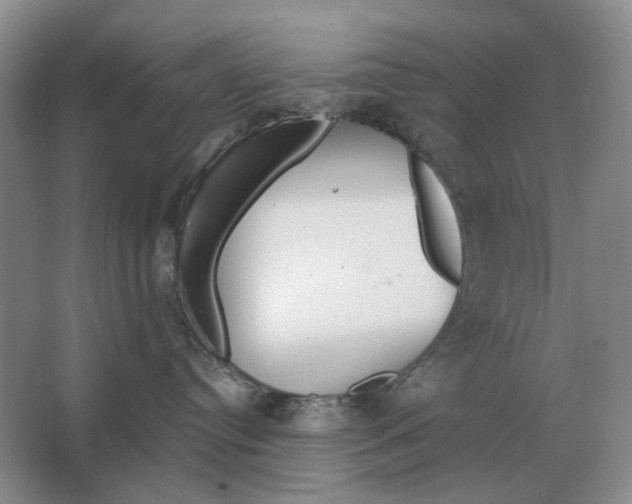 X0000063450384200602171905