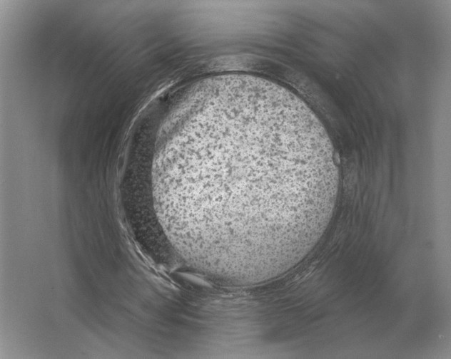 X0000063450386200602171904