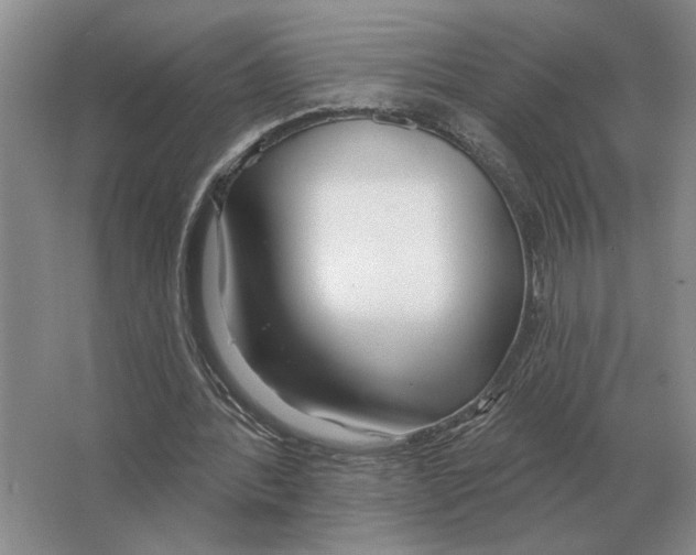 X0000063450388200602171904