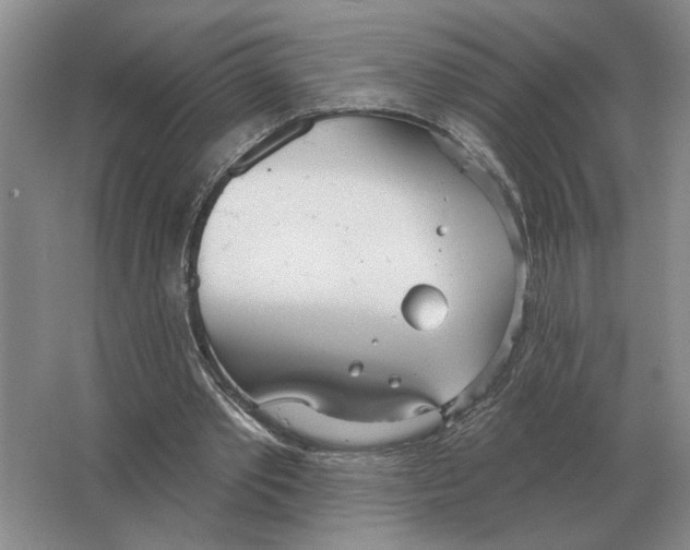 X0000063450389200602171904