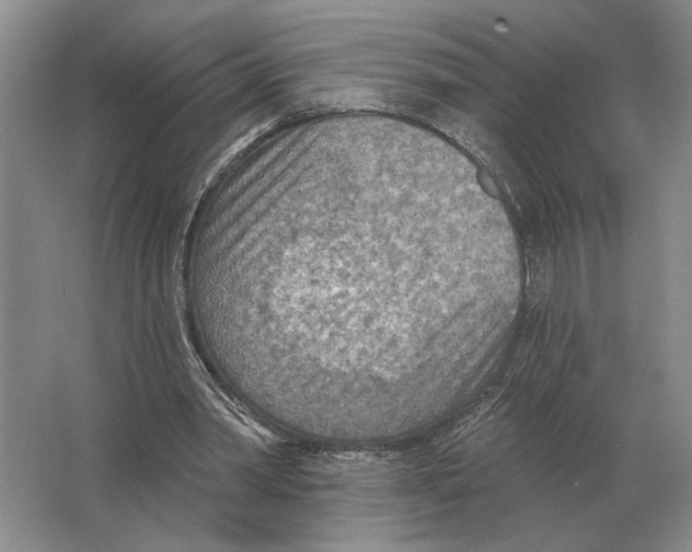 X0000063450390200602171904