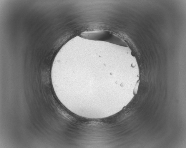 X0000063450393200602171904