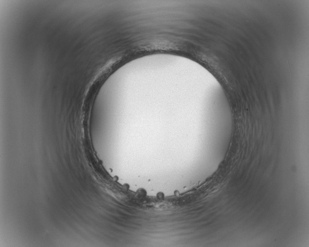 X0000063450395200602171904