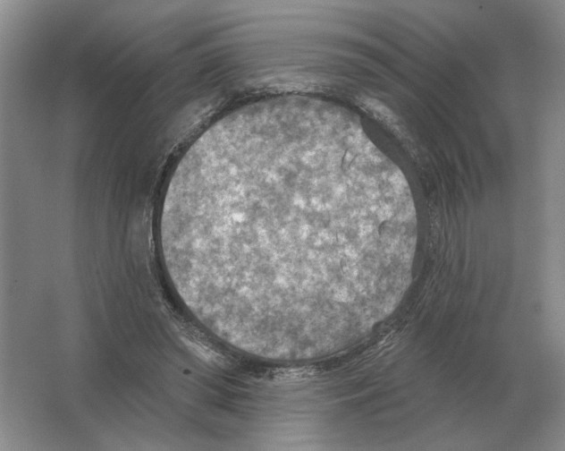 X0000063450398200602171904