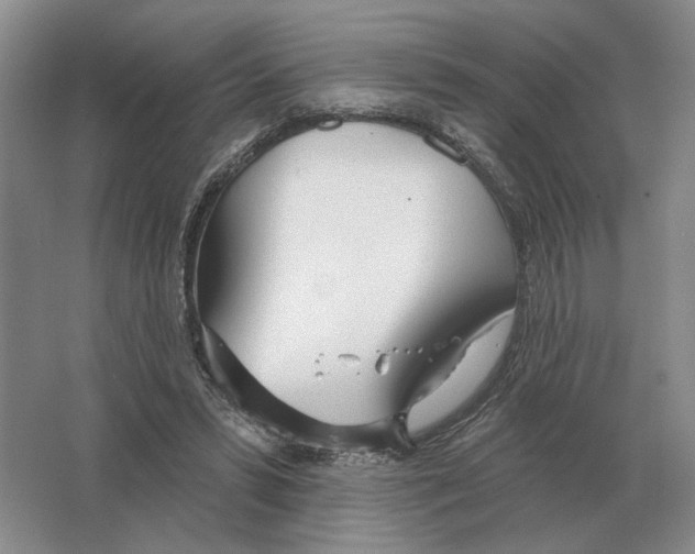 X0000063450399200602171904