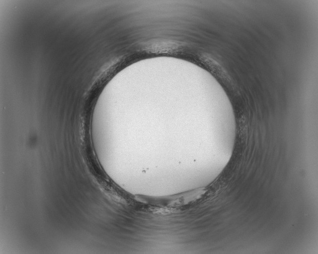 X0000063450400200602171904